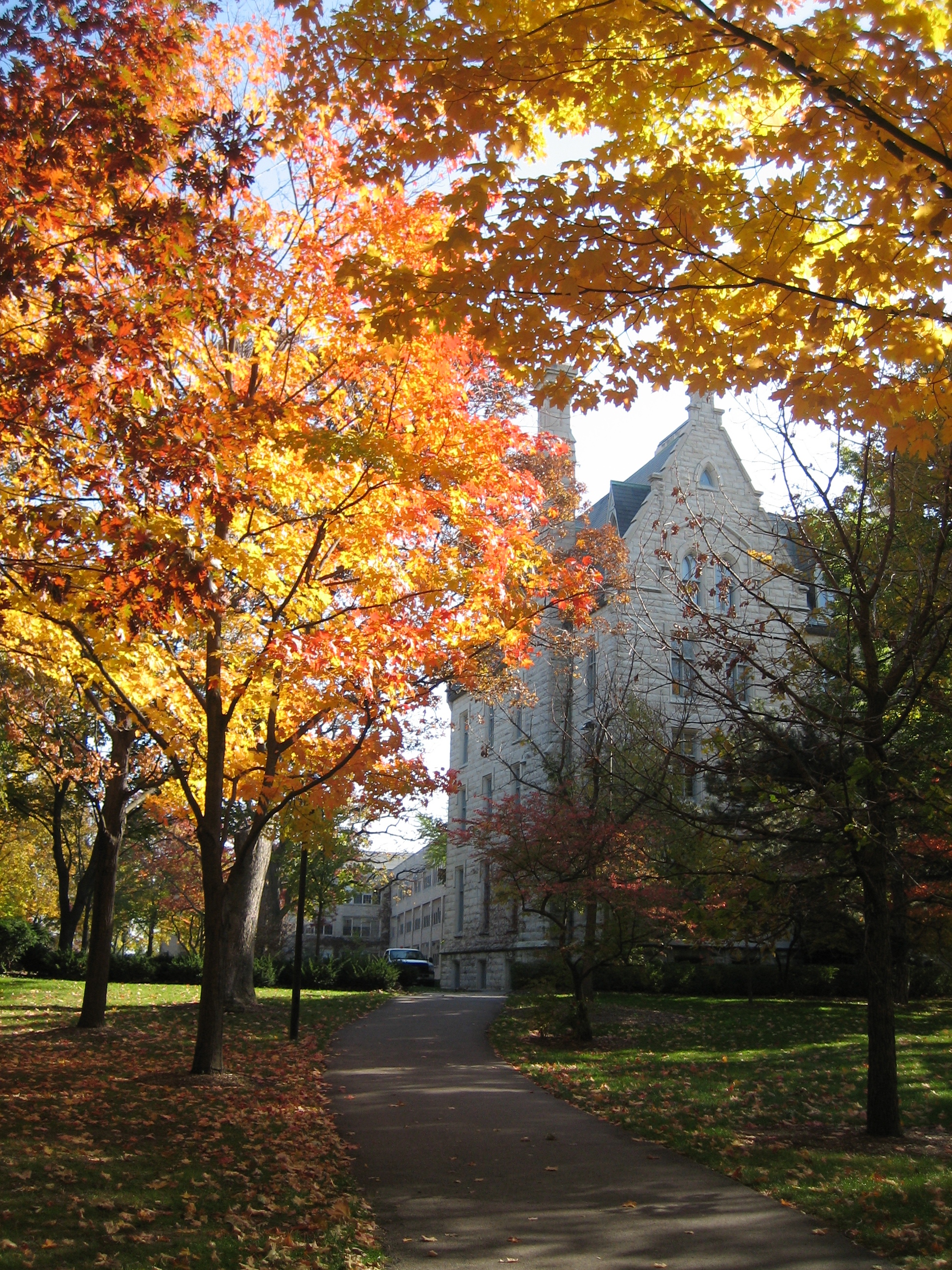 northwesternfall.jpeg